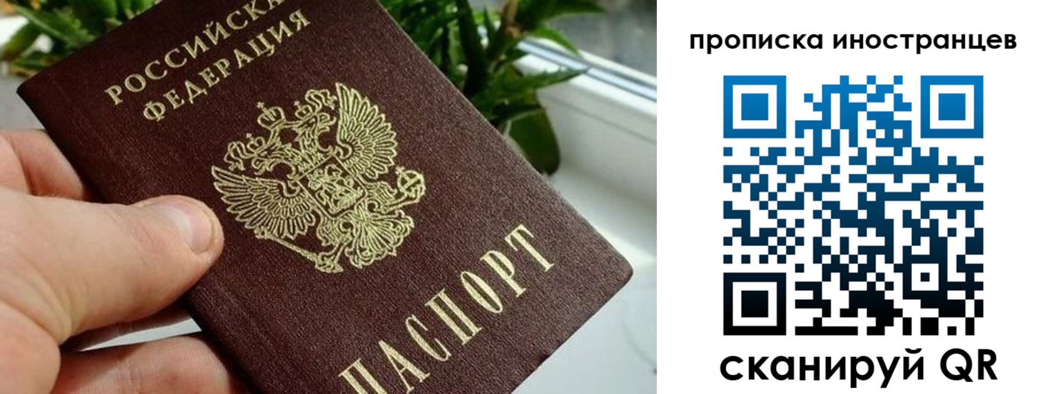 временная регистрация в Зеленоградске